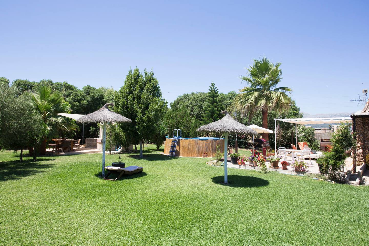 Green oasis garden at Finca Eco Oasis Mallorca